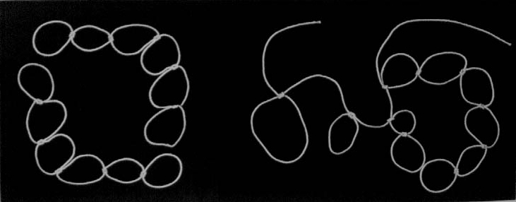 Domino Sequence I photo collage 10x24 inches